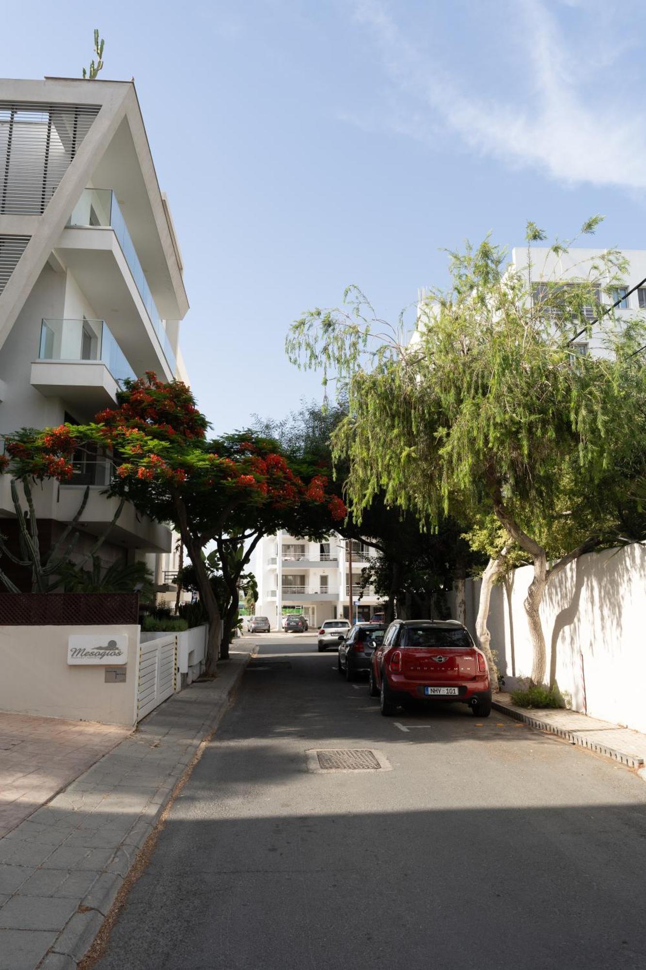 לרנקה Violet Dusk City Center Flat מראה חיצוני תמונה